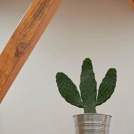 Design For Big Groups 4bed/3bath アパート