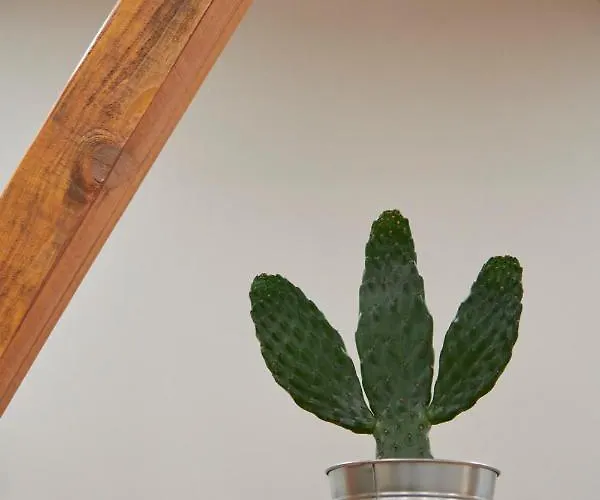 Design For Big Groups 4bed/3bath شقة