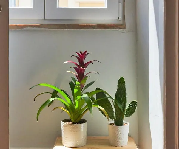 Design For Big Groups 4bed/3bath * Lisboa